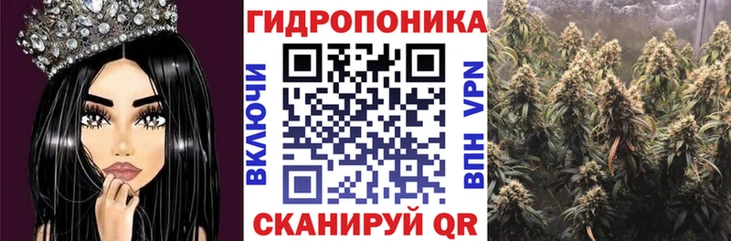 Купить наркоту Шахунья Гашиш  Канабис  Галлюциногенные грибы  Меф 