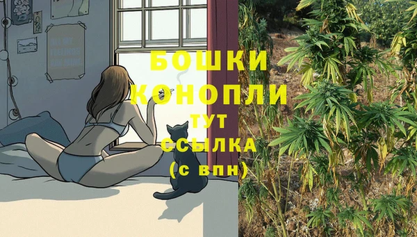 марки lsd Белокуриха