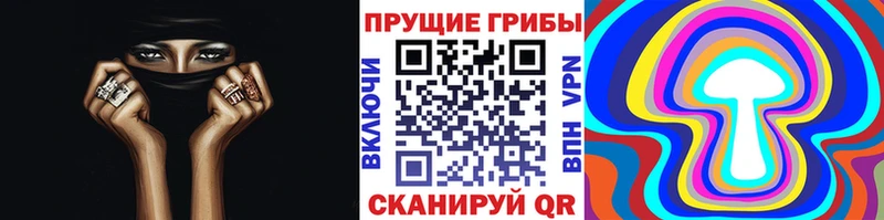 наркота  Шахунья  Псилоцибиновые грибы мицелий 